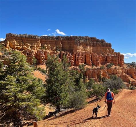 Visiting Bryce Canyon National Park With Pets | GoPetFriendly