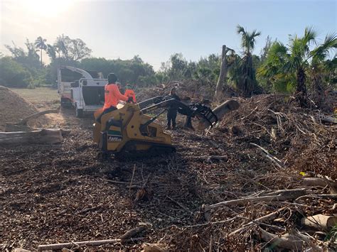 Restoration of Wildlife Habitat an Ongoing Process | Sanibel-Captiva ...