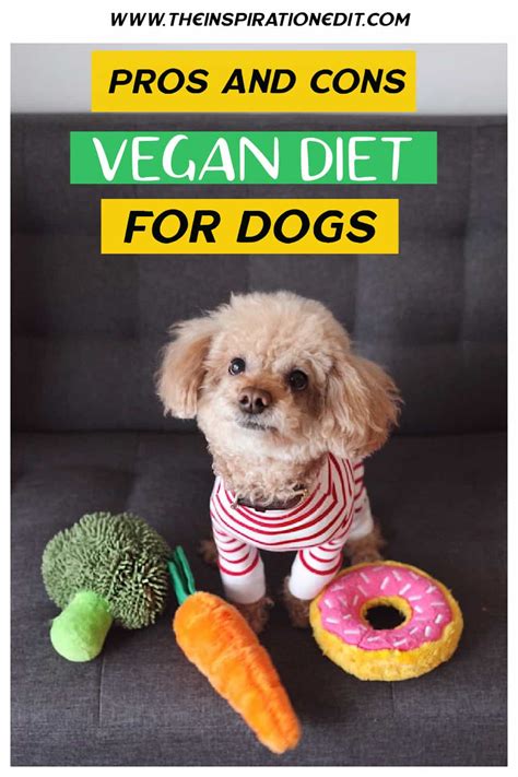 Pros and Cons of Vegan Diet for Your Dog · The Inspiration Edit