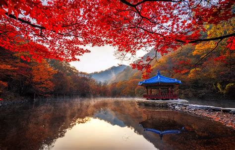 √ Korean Landscape Wallpaper - Popular Century