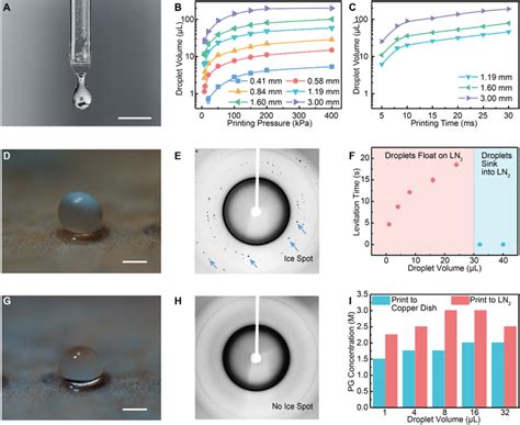 Microliter CPA droplet printing and vitrification. A) Image of printed ...