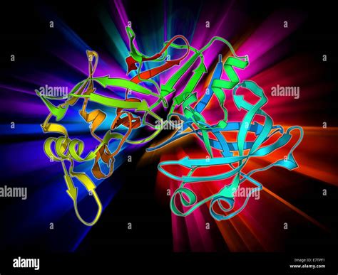 Pepsin enzyme hi-res stock photography and images - Alamy