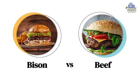 Bison vs. Beef: Which is Healthier & Tastes Better