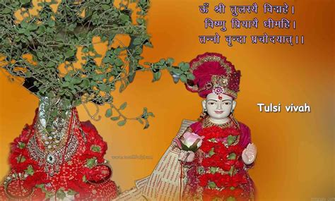 Tulsi Vivah Puja Vidhi 2017: Puja muhurt and puja vidhi devuthni | तुलसी विवाह पूजा विधि 2017 ...