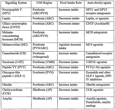 agonist-amp-antagonist-muscle-pairs Images - Frompo - 1