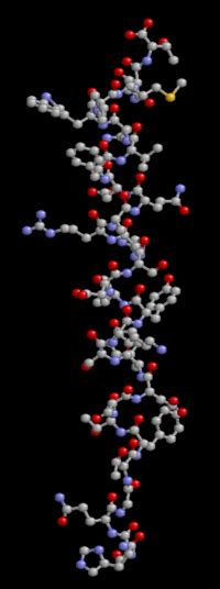 Glucagon - New World Encyclopedia