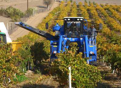 Introduction to Mechanical Harvesting of Wine Grapes – Grapes