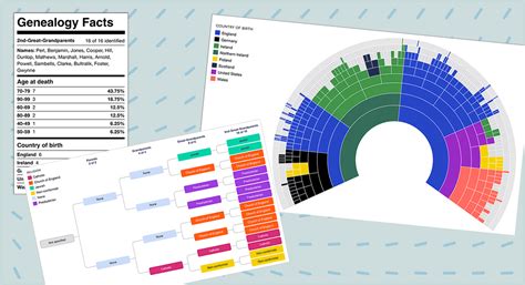 DNA Painter Dimensions: a new way to showcase your ancestral line