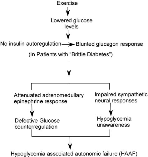 Figure 1 from The hypoglycemia associated autonomic failure triggered ...