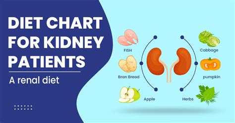 Understanding the Impact of Diet on High Creatinine Levels - AtoAllinks