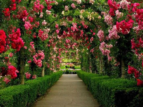 Beautiful Garden Photos From Around The World That Will Leave You ...