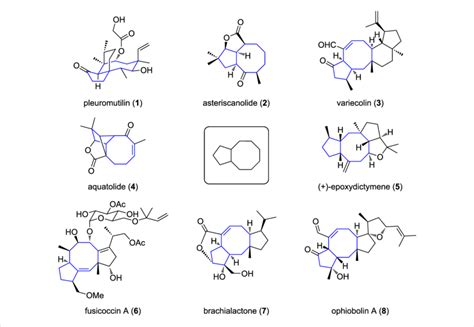 Examples of terpenes containing a bicyclo[3.6.0]undecane motif. | Download Scientific Diagram