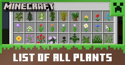 List of All Plants | Minecraft｜Game8