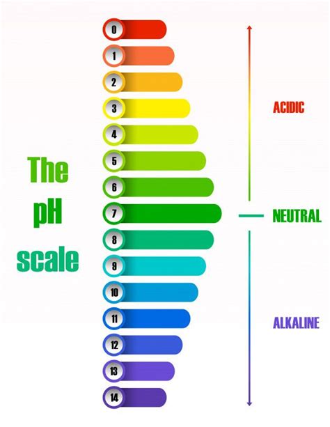 El Diagrama De La Escala De Ph Vector Gratuito Color Worksheets Text | My XXX Hot Girl