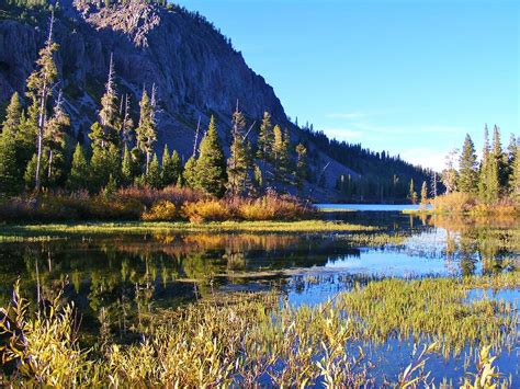 Fall Colors At The Grassy End Of Mammoth Lake Photograph by Cherie COKELEY