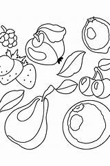 Obst Ausmalbild Für Kinder  Kostenlos Drucken Und Online sketch template
