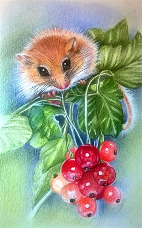 Dormouse (2015) Pencil drawing by Raffaella Picotti | Whimsical art ...