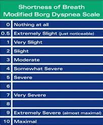 Borg Rating Of Perceived Exertion - Physiopedia