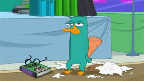 Perry The Platypus Phineas And Ferb GIF - Perry The Platypus Phineas And Ferb - Discover & Share ...