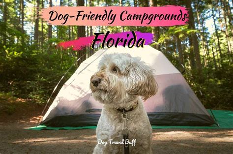 Guide to 8 Dog-Friendly Camping in Florida: DogTravelBuff