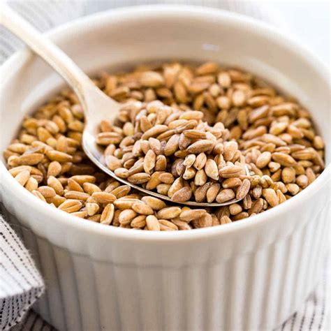 What is Farro? An Ancient Grain Worth Knowing About - Jessica Gavin