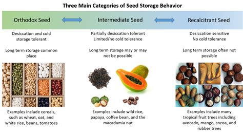 Seed Storage | Kimball Lab