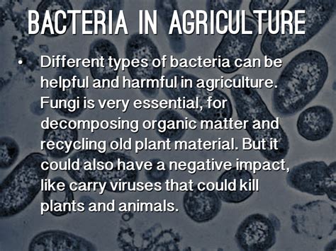 Microorganisms, Agriculture, & Biotechnology by Ty