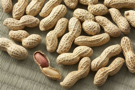 Gradual exposure to peanuts may help some allergic kids. It will be a ...