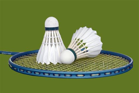 Stats Perform scores exclusive deal with world badminton body - Sports ...