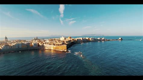 Sicilian Beach Birds - Trapani Italy - YouTube