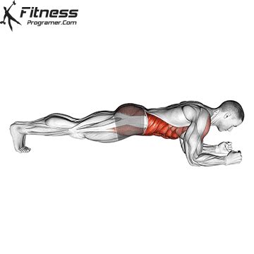 How To Do The Perfect Plank | Muscles Worked And Benefits