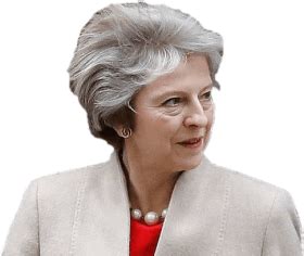 Download theresa may side view - theresa may windswept png - Free PNG Images | TOPpng