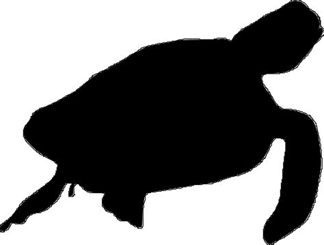 Black silhouette of a Turtle at white background free image download