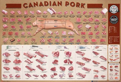 Pork Cut Charts | Star City Meats | A Taste Beyond Compare