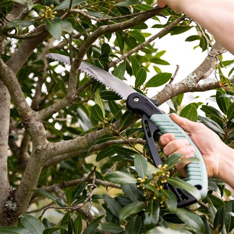 Pruning saw – Artofit