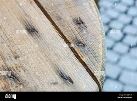 wood surface with old natural pattern Stock Photo - Alamy