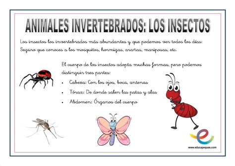 La naturaleza con niños: Formas y colores de los insectos