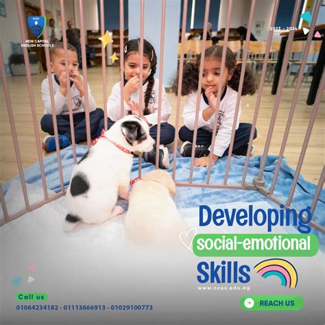 Developing social-emotional Skills – NCES