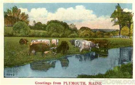 Plymouth, Maine, USA History, Photos, Stories, News, Genealogy, Postcards | GREENERPASTURE