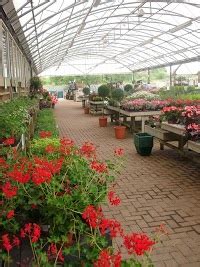 St Peters Garden Centre in Worcester WR5 2NY