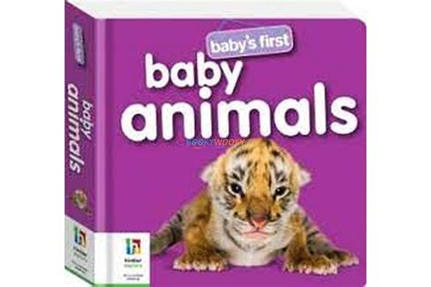 Baby’s First Baby Animals – – Booky Wooky