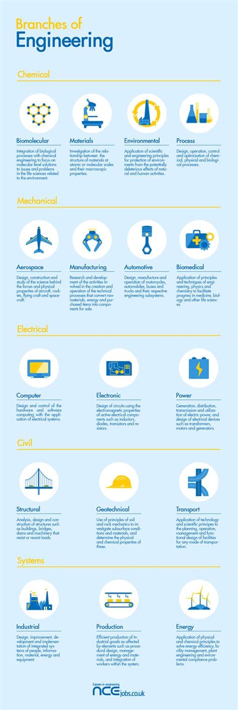 Different engineering roles | Engineering, Biomedical, Infographic