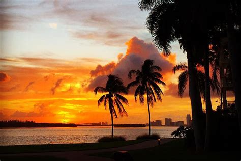 Clima y temperaturas en Miami ¿Cuándo es la mejor época para viajar?