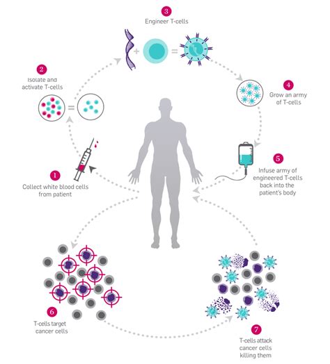 Why Cancer Immunotherapy | Parker Institute for Cancer Immunotherapy