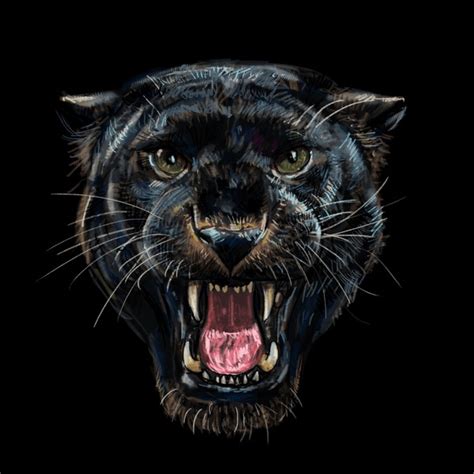 6,139 Black Panther Roaring Royalty-Free Images, Stock Photos ...