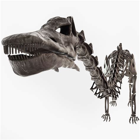 Diplodocus skeleton 3D - TurboSquid 1165511