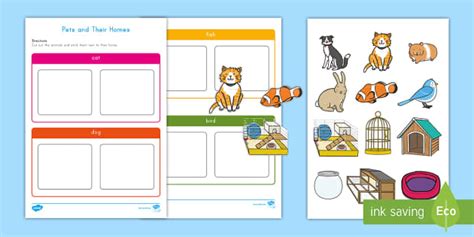 Pets and Their Homes Sorting Activity (teacher made)