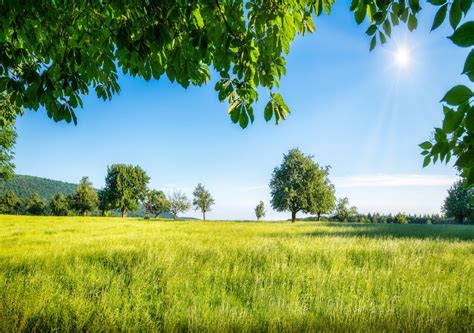 Sunshine and high temperatures in the forecast this week