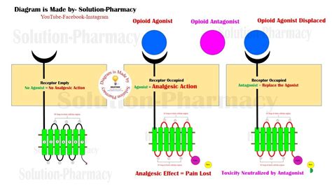 Mechanism Of Action Of Opioid Analgesics