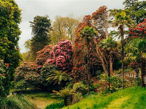 A Guide to Visiting the The Lost Gardens of Heligan, Cornwall - Kitti Around the World